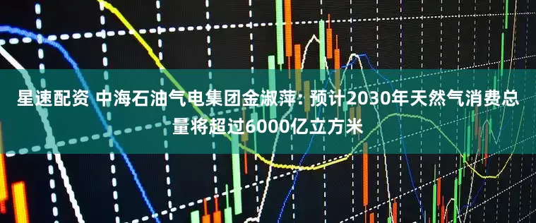 星速配资 中海石油气电集团金淑萍: 预计2030年天然气消费总量将超过6000亿立方米