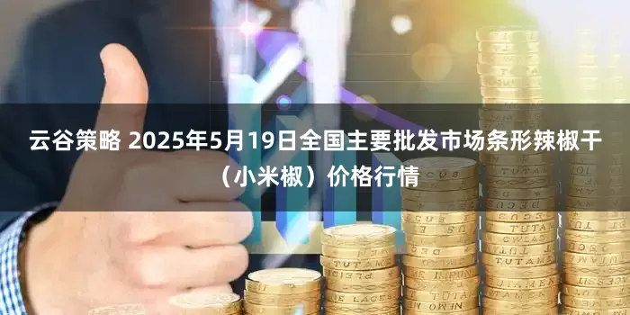 云谷策略 2025年5月19日全国主要批发市场条形辣椒干（小米椒）价格行情