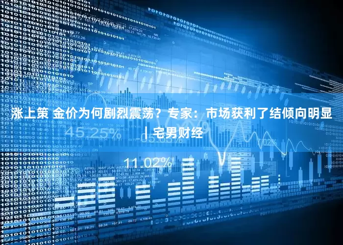 涨上策 金价为何剧烈震荡？专家：市场获利了结倾向明显｜宅男财经