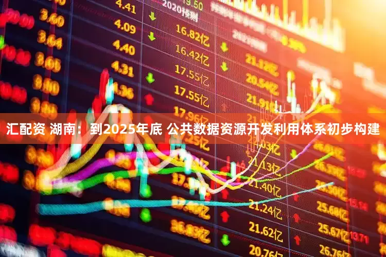 汇配资 湖南：到2025年底 公共数据资源开发利用体系初步构建