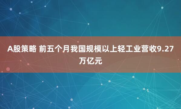 A股策略 前五个月我国规模以上轻工业营收9.27万亿元