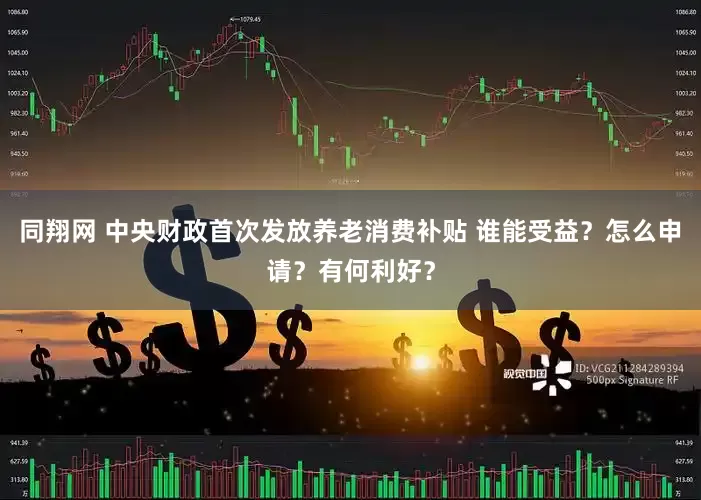 同翔网 中央财政首次发放养老消费补贴 谁能受益？怎么申请？有何利好？