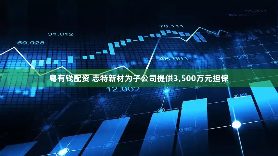 粤有钱配资 志特新材为子公司提供3,500万元担保