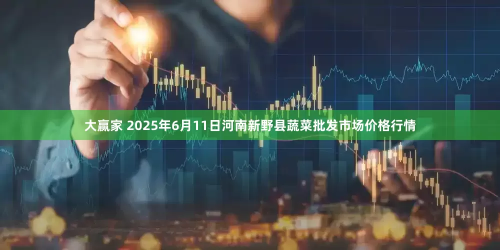 大赢家 2025年6月11日河南新野县蔬菜批发市场价格行情
