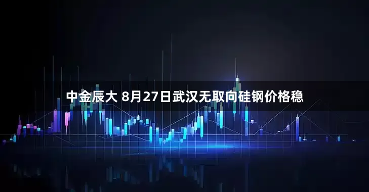 中金辰大 8月27日武汉无取向硅钢价格稳